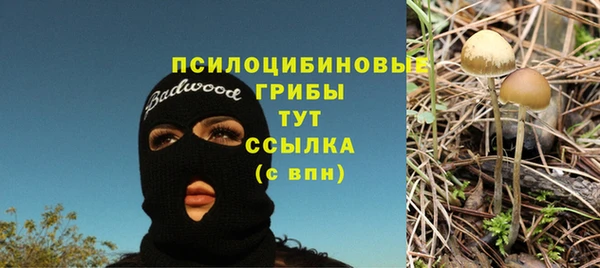 мдма Каменка