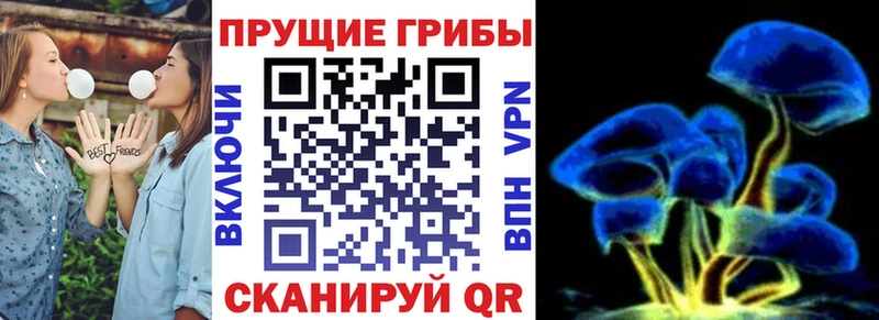 Псилоцибиновые грибы мухоморы  Купить закладки  Губкин 